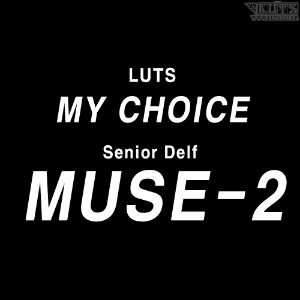 娃娃 LUTS My Choice &amp;quot;Senior Delf Muse Type 2 neck compatibility ver.